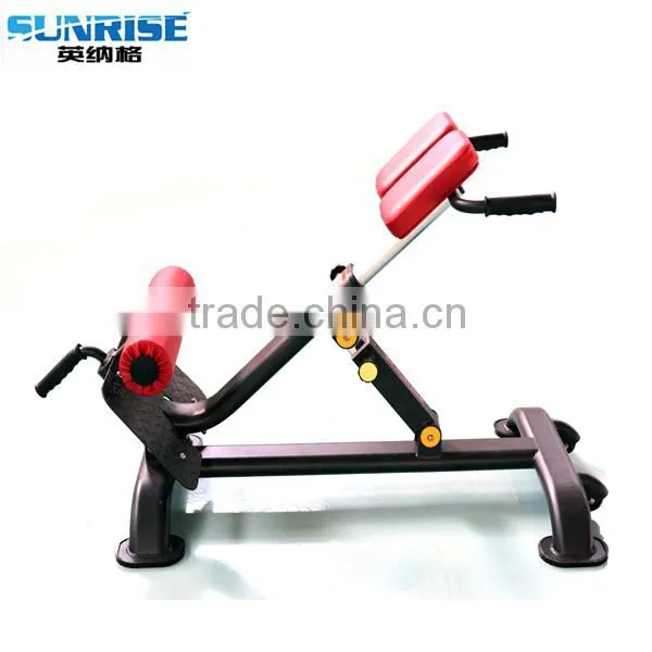 Strength Gym Equipment Roman Chair, Back Extension Gym Machine