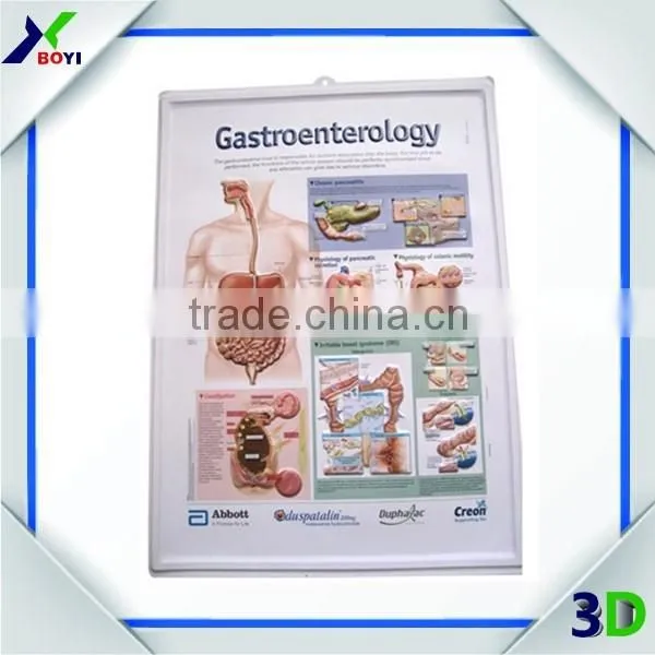 Pharma Gift 3d Medical Poster, Anatomy Embossed Medical Wall Chart photo-3
