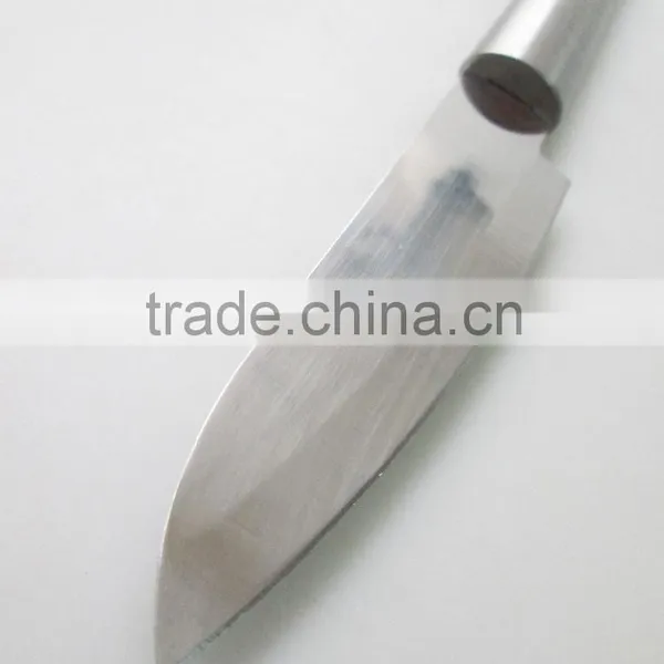 Stainless Steel Handle Fruit and Vegetable Knife photo-2