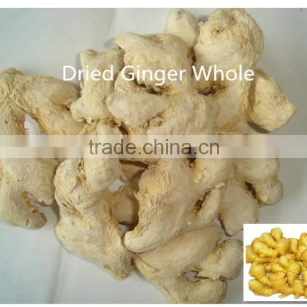 Factory Produce Whole Dried Ginger High Quality Low Price photo-4