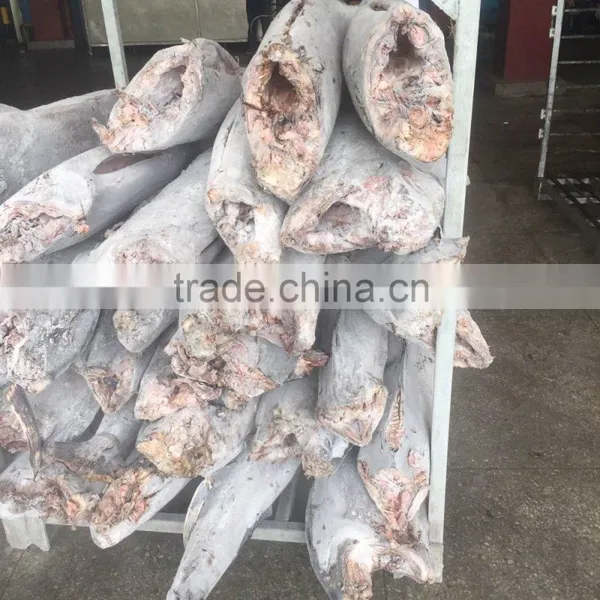 Land Frozen Black Marlin 20kg up for Sale photo-2