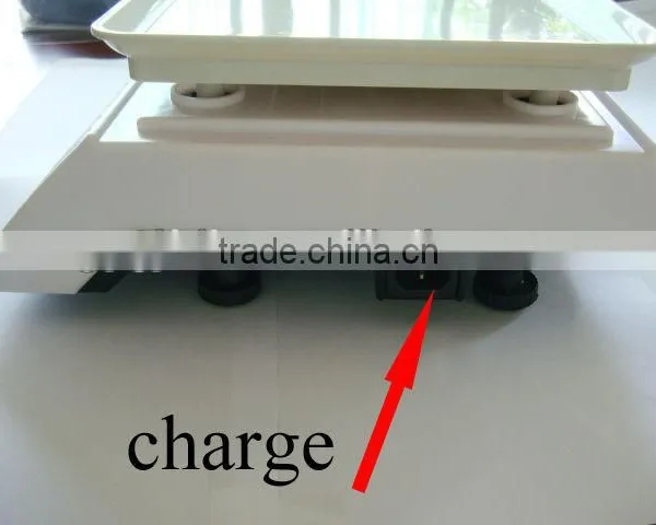 Hot Sale in Market Price Computing Scale 220V /digital Electronic Scale for Trade photo-3