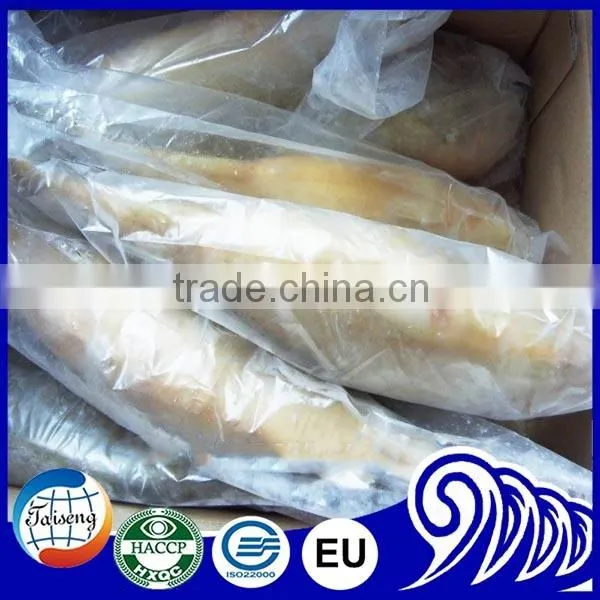 Export Frozen Whole Small Yellow Croaker Fish photo-4