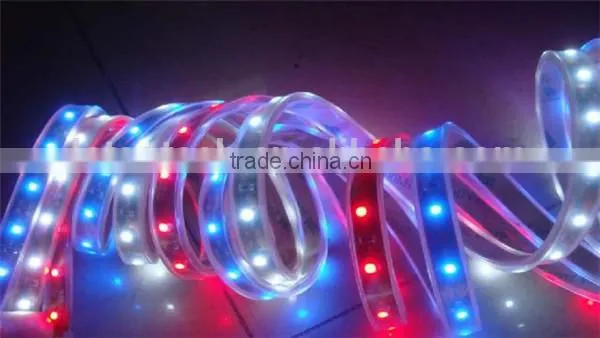 addressable rgb led strip 32leds/m 60leds/m smd5050 rgb magic digital dream color rgb full color led strip ws2801 ws2811 ws2812b