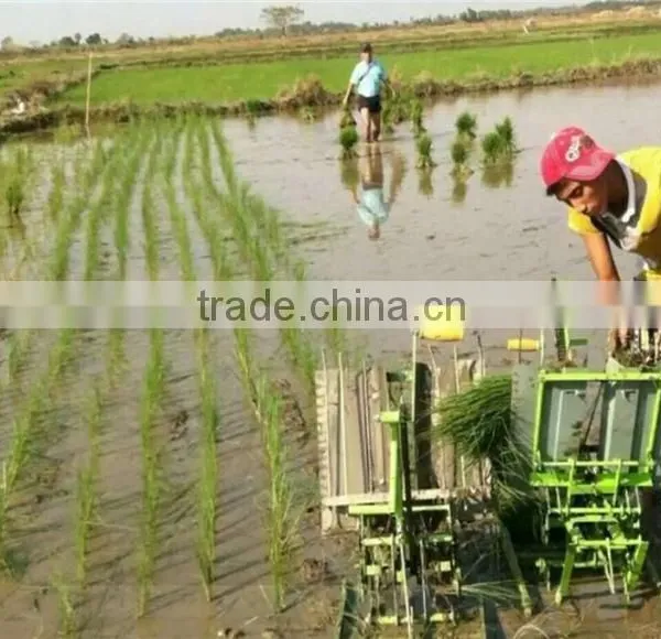 Manual Rice Planter photo-2