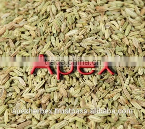 Dried Fennel Seed photo-2