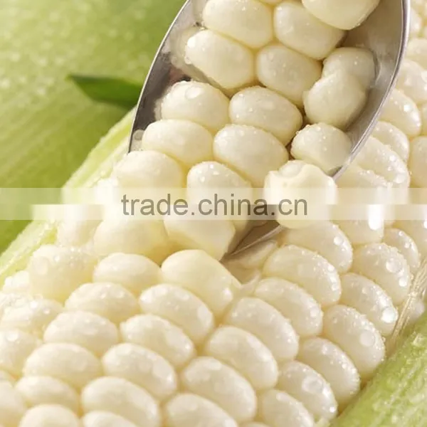 Frozen Whole Kernel Corn Chinese Sweet Yellow Corn