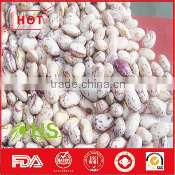 Light Coloured Speckled Kidney Beans for Sale photo-2