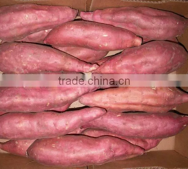fresh sweet potatoe
