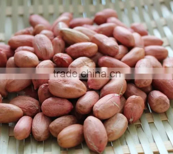 New Crops Red Skin Peanut Kernel photo-4