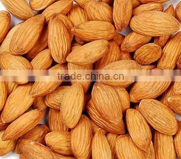 Wholesale Price of Organic Almond photo-2