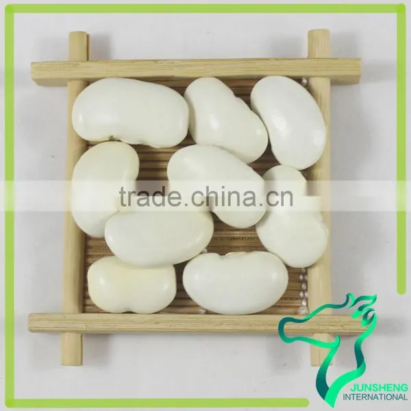 New Crop Large Type White Organic Beans