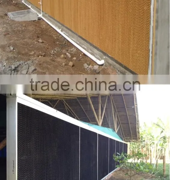 Automatic Chicken Rearing Equipment for Breeder photo-4