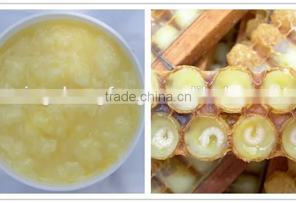 Best Royal Jelly, Good for Health Royal Jelly With High Quality photo-3