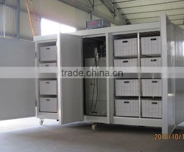 HOT! China Made Soya Bean Sprout Machine photo-2