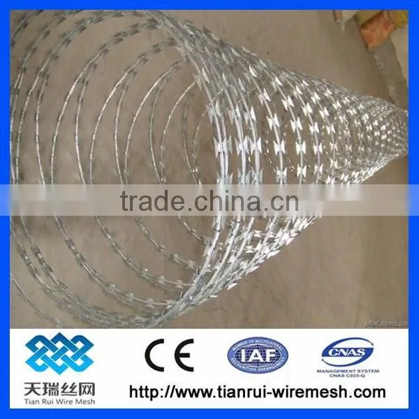 Hot Dipped Galvanized Razor Wire/concertina Razor Wire photo-2