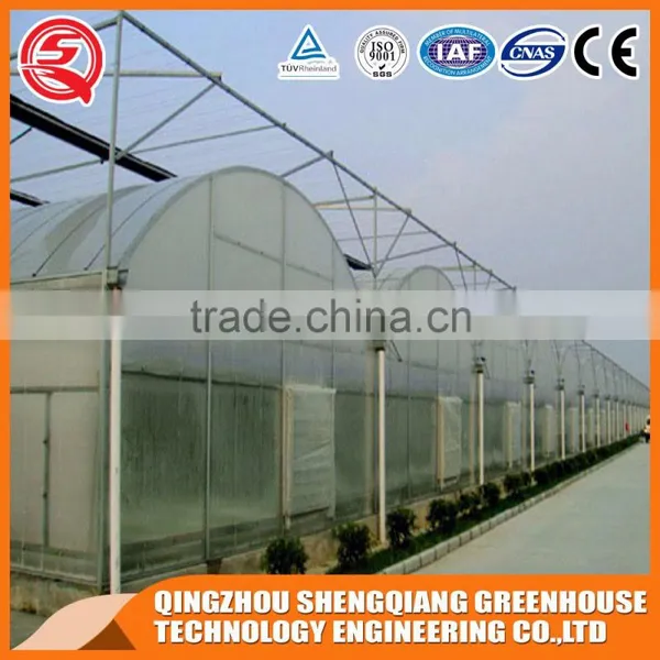 Multifunction Plastic Greenhouse for Agricultural Farming photo-6