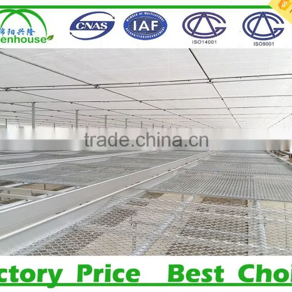 Nursery Plants Polycarbonate Sheet Greenhouse photo-5