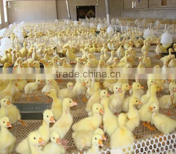 Best Price!! HDPE Construction Safety Net/construction Safety Net/Plastic Net Plastic Flat Mesh photo-5