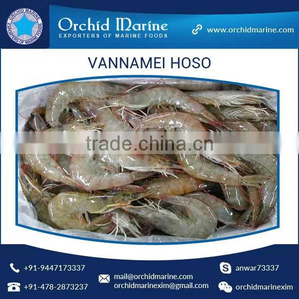 High Grade Hygienically Processed Frozen Vannamei Shrimps Price photo-4