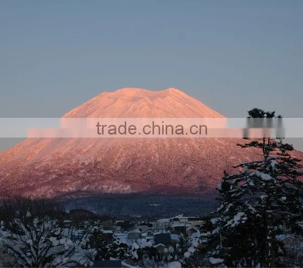 Real Estate for Sale in Japan , Resort Land for Sale photo-2