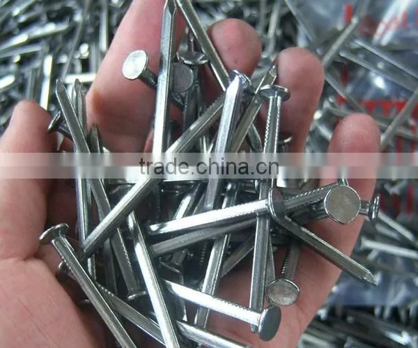 Cheap Price Hot Dipped Galvanized Boat Nails Square Shank Boat Nails photo-3