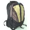 Fashion Laptop Backpack/computer Backpack/shoulder Backpack (GO-LP-002)