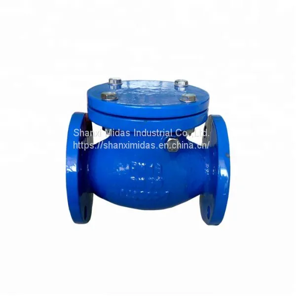 BS5153 Cast Ductile Iron Swing Check Valve With Prices photo-4