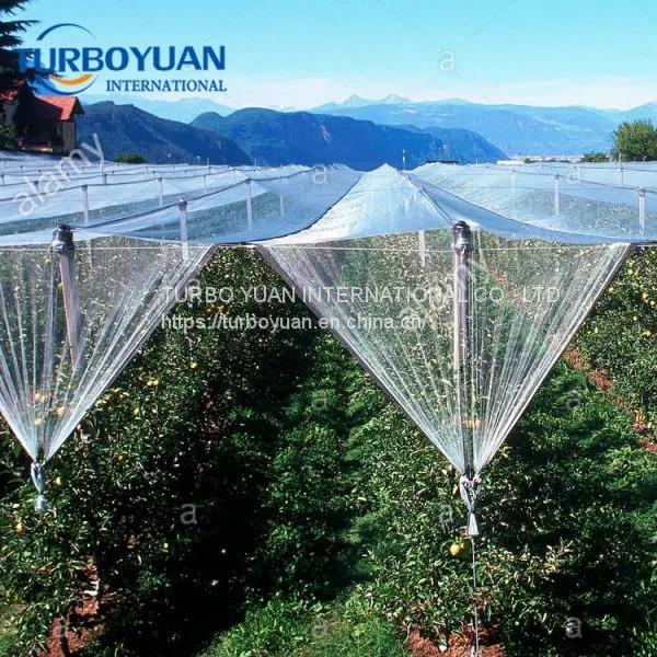 Agriculture White Woven Anti Hail Protection Mesh Cover Net Roll for Apple Tree Manufacturer in China