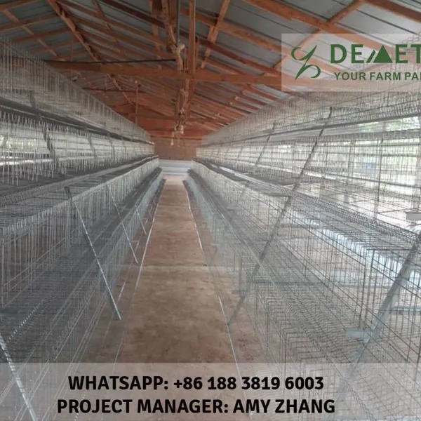 Ethiopia Layer Chicken Cage Equipment photo-2