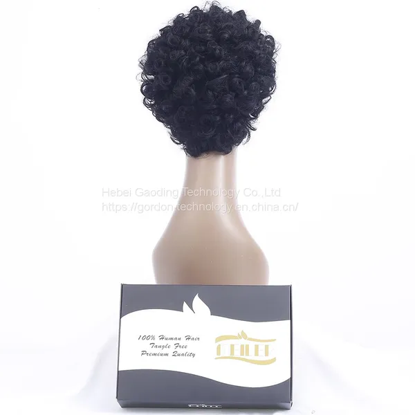 Wholesaler of Short Curly Human Hair Wigs photo-3