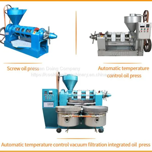 Sunflower Oil Processing Machine Sunflower Oil Production Line photo-3