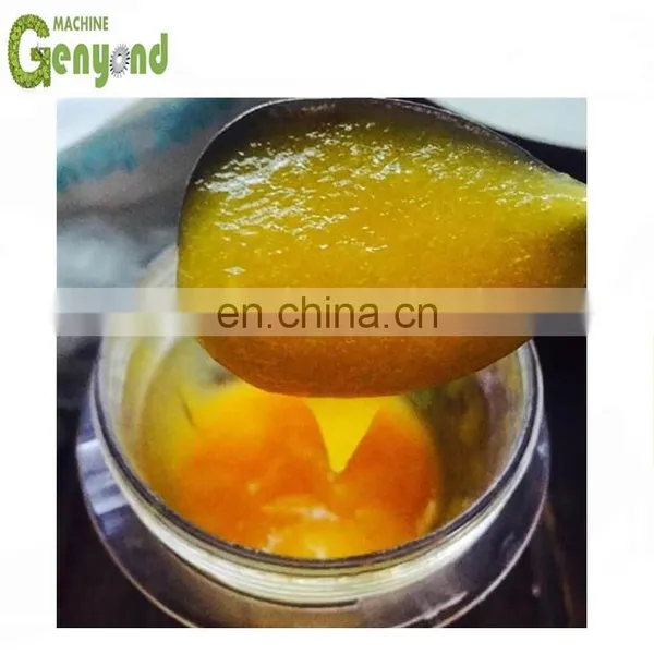 Shanghai Factory Complete Small Capacity Mango Puree Processing Plant photo-3