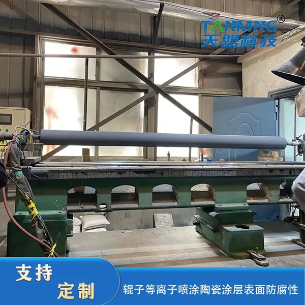 Ceramic Roller