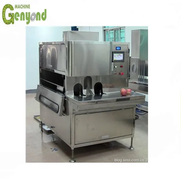 Mango Chips Mango Peeling Machine in Fruit Processing Line photo-2