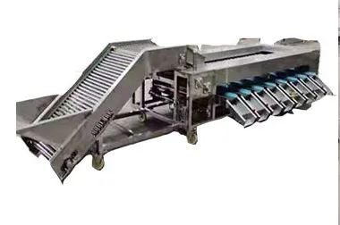 Avocado Fruit Sorting Grading Machine Sorter Grader Machine Line Classifying Machines photo-3