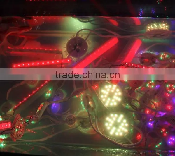 Hot Products Waterproof IP68 CE FCC Approved Outdoor Led Smd 5050 photo-2