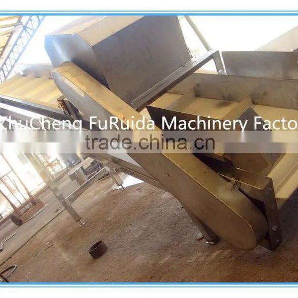 Chicken Feet Conveyer/poultry Broiler Equipment/abattoir Machinery photo-2