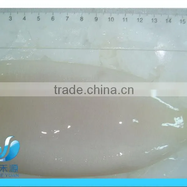 Frozen Whole Squid photo-5