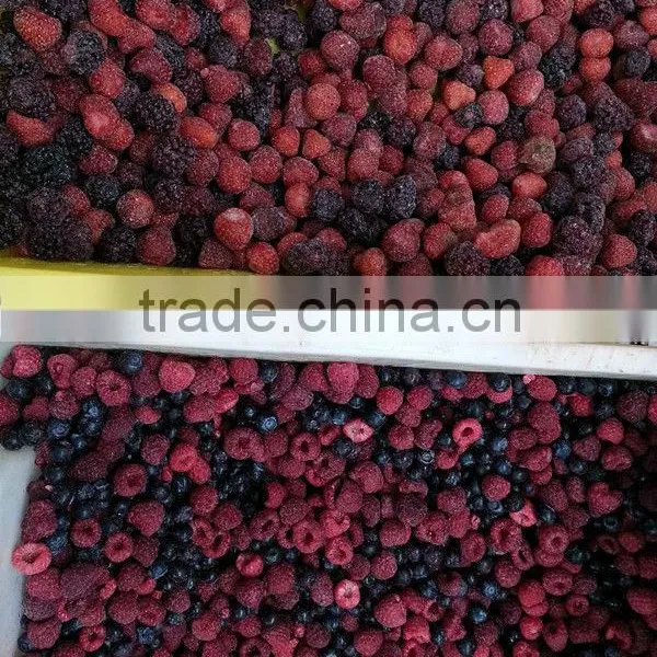 Frozen IQF Mixed Berries With BRC Kosher Certificates