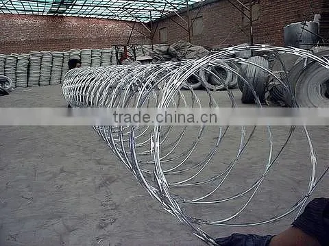 Professional Factory Supply Low Price Concertina Razor Barbed Wire photo-5
