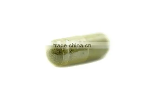 Excellent Quality Dietary Supplement Moringa Capsules