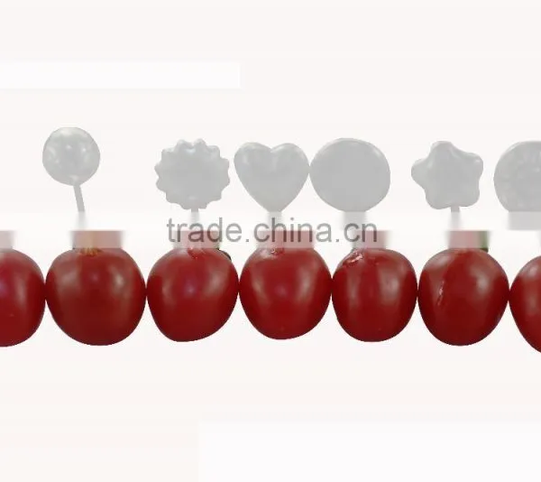 Trade Assurance Medical Materials & Accessories Properties and Paste Material Type Pasteur Pipette photo-3