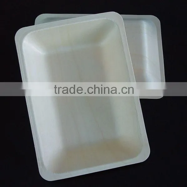 Disposable Round Plate photo-2