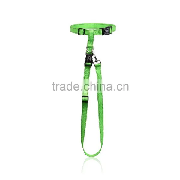 Running Epoxy Sticker Pet Dog Leash Wholesale photo-2