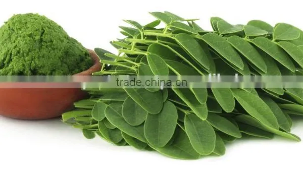 PKM1 Moringa Seed - India Origin photo-6