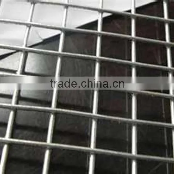 2x2 Galvanized Welded Wire Mesh Panel photo-3