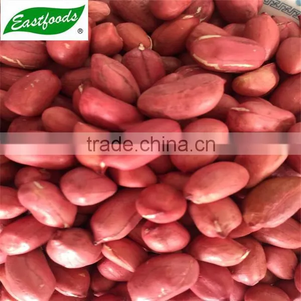 Red Skin Peanut Kernel photo-3
