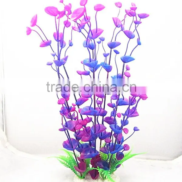 Colorful Aquairum Mini Plant photo-2