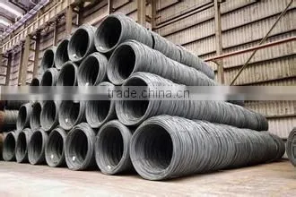 SAE1008B Low Carbon Steel Wire Rod Coil Manufacturer Mill/wire Rod photo-3